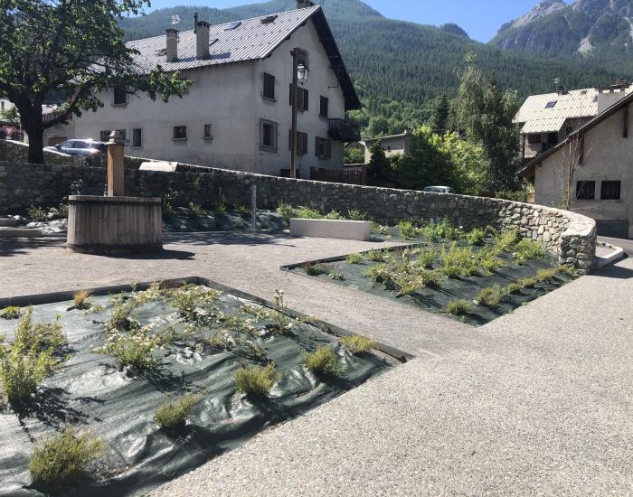 Villard5