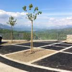 Aménagement paysager d'un parking