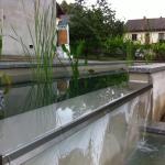 Bassin