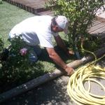 Conseils et entretien du jardin
