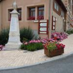 Conseils et entretien des parterre fleuris