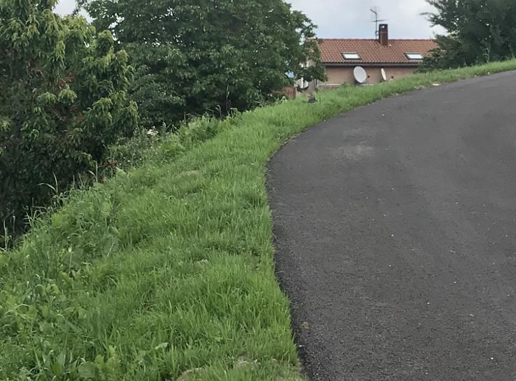 photo engazonnement de talus