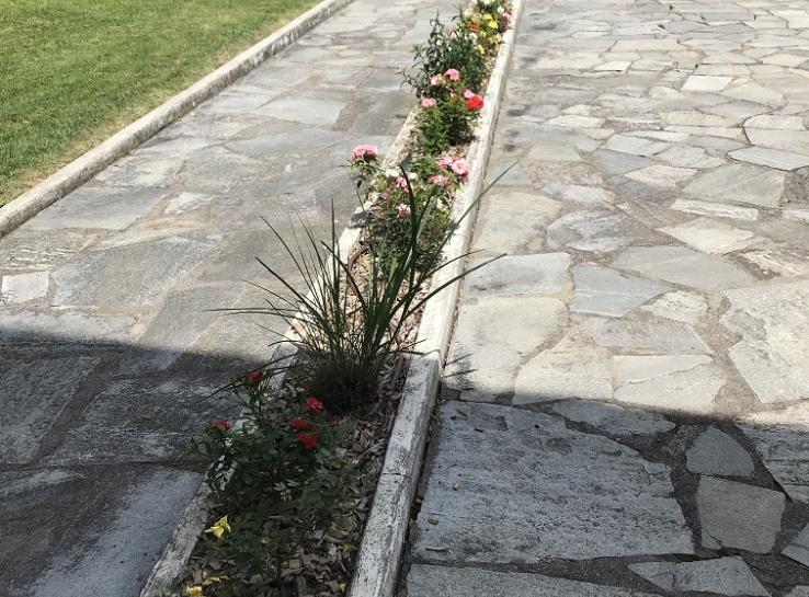 photo aménagement autour d'une maison