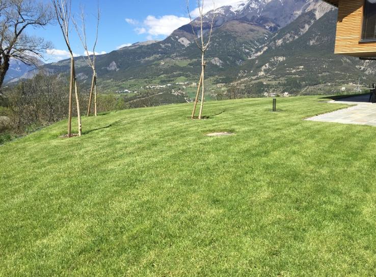 photo aménagement végétation autour d'une maison