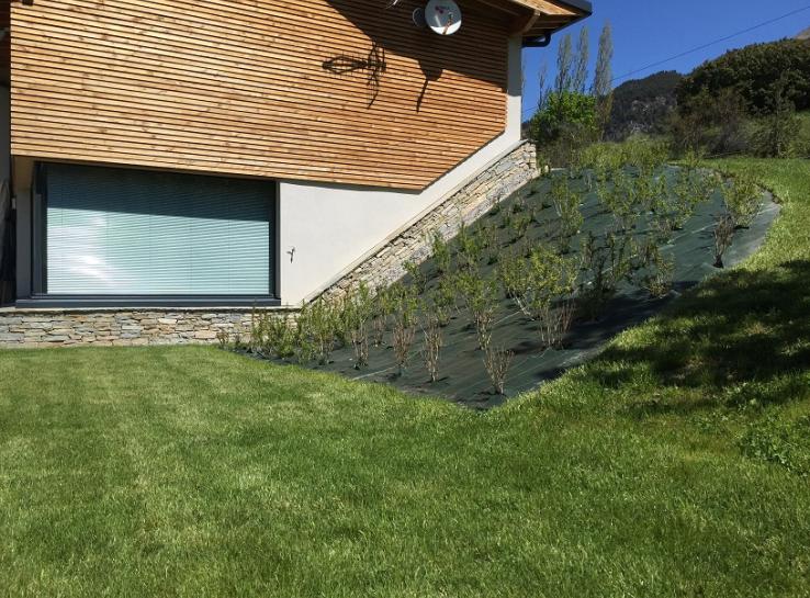 photo aménagement végétation autour d'une maison