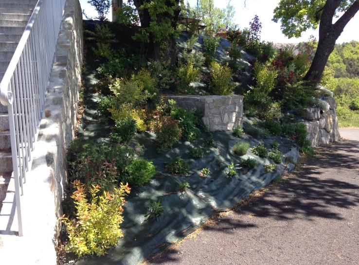 vegetation a proximité d'un escalier